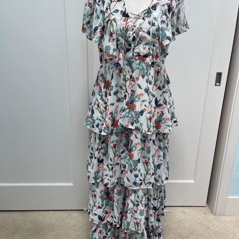 Walter Baker Dress Cactus Bloom Maxi Dress | Size 6 | NWT